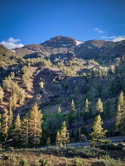 Photo of aan unnamed peak above Sonora Pass. Summer.