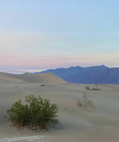 Photo of sand dunes, bushes, and dried mud with mountains in the background. Death Valley National Park. Fall morning.
