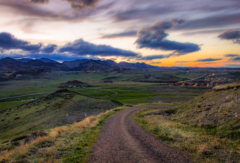 Photo of milky way behind a dead tree