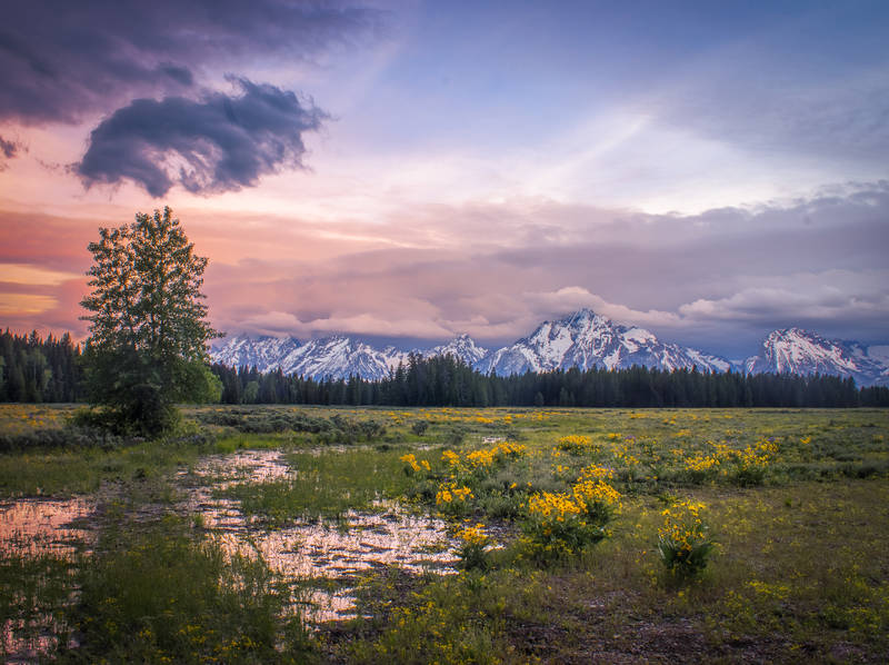 Photo of Navajo Falls in the Havasu Canyon.