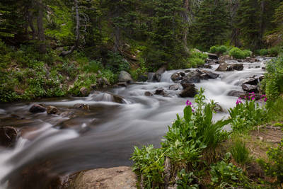 Photo of a small cascade near the Odessa Lake.